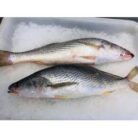 68ca9afc6183a_poisson-sosso-1-kg-2-3-pieces