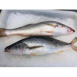 Poisson Sosso (1kg)