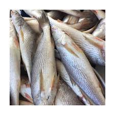 68ca9afc65591_download (7)