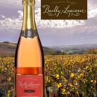 6952c981a567f_bailly lapierre rose brut 3