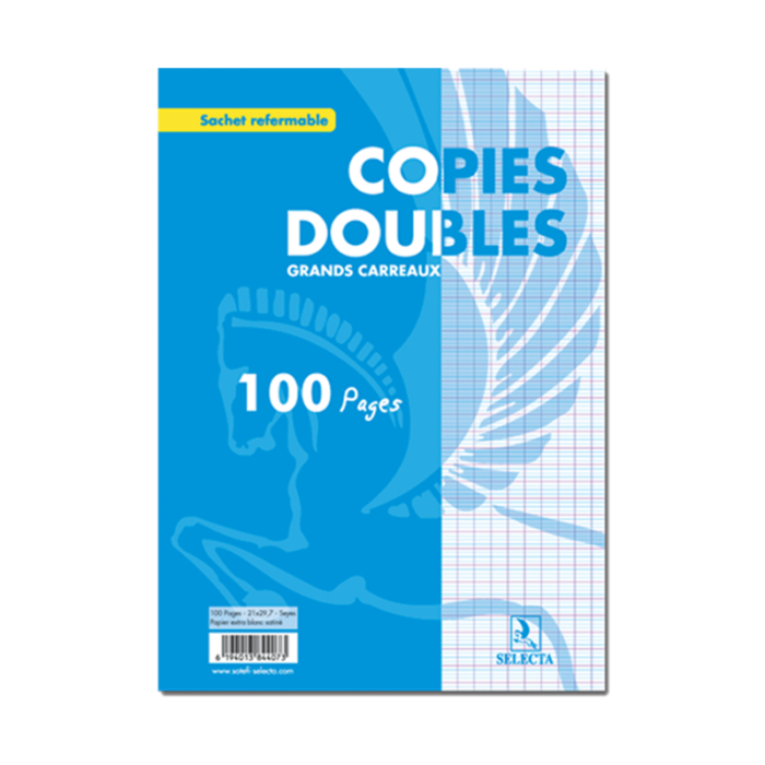 68825fe7ee99f_Grandes feuilles de copie doubles à grand carreaux (1)